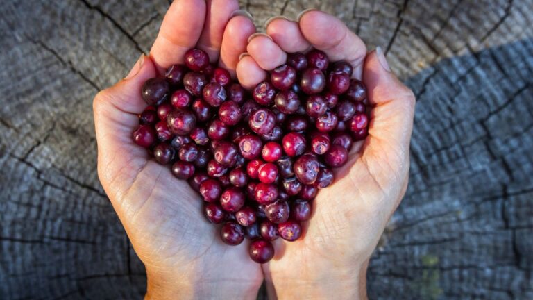 15 standout ingredients that shape America’s most iconic regional flavors