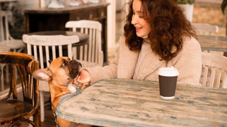 People Let Their Dogs Sniff My Food and Say ‘He’s Friendly’ at Cafes. I Weaponized the Word ‘Allergic’ to Stop Them.
