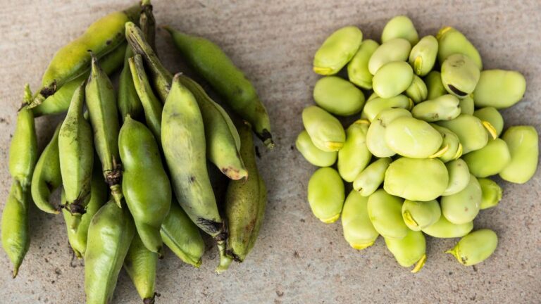 12 Common Foods That Can Turn Toxic if You Eat Too Much