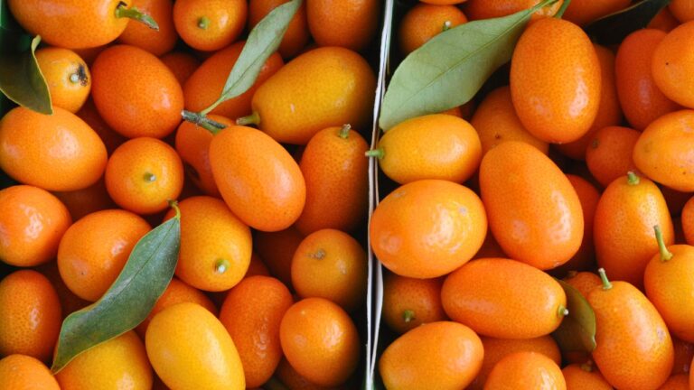 12 Exotic Fruits You Need to Try and Creative Ways to Cook with Them