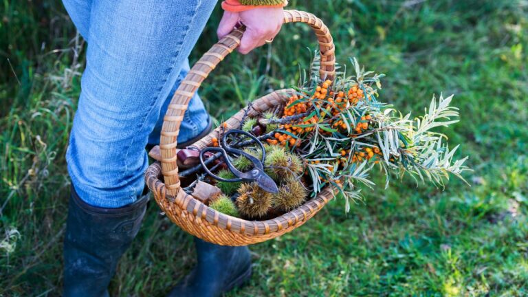 12 Tasty, Low-Waste Swaps to Eat More Sustainably