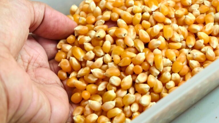 14 Long-Lasting Foods You’ll Want to Stockpile in Your Pantry