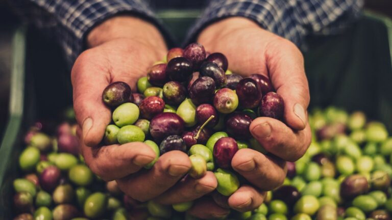 15 Biblical Foods Still on Today’s Dinner Tables