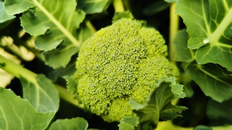 15 Flavorful Foods to Elevate Your Everyday Eating