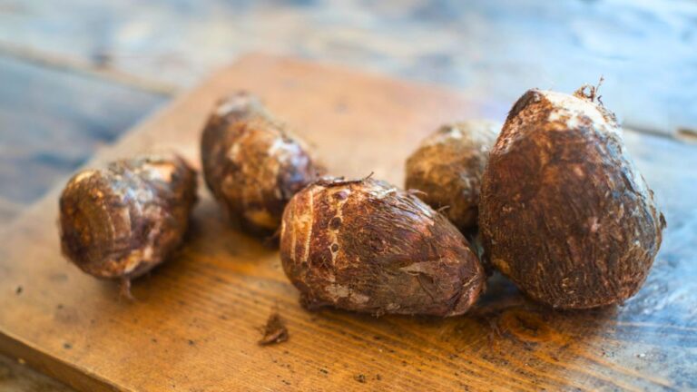 15 Staple Foods That Fed Empires and Shaped Civilizations for Centuries