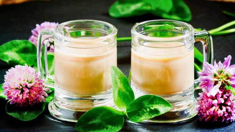 I Brought a Bottle of Irish Cream. She Screamed at Me for Putting Dairy in Her Vegan Glass.