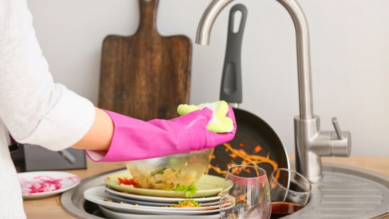 Guest Refused to Take Her Dirty Dish Home. I Accused Her of Treating Me Like Her Dishwasher.