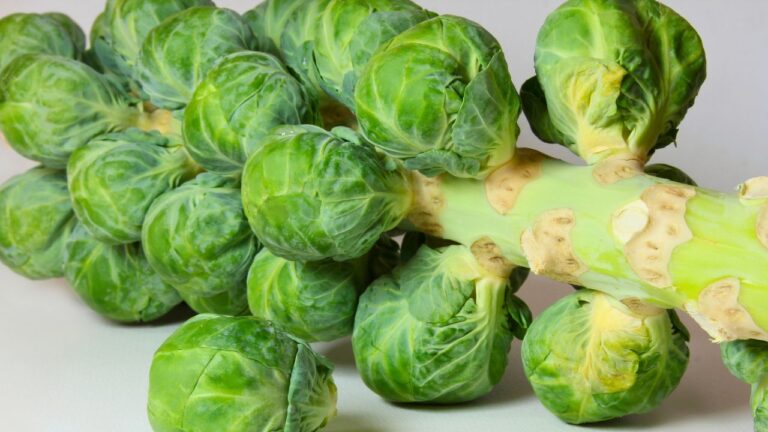 12 Foods That Split the Nation Love Them or Loathe Them You Decide