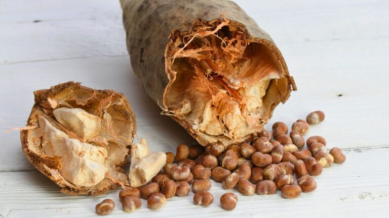 12 Under-the-Radar Ingredients You’ve Probably Never Heard Of