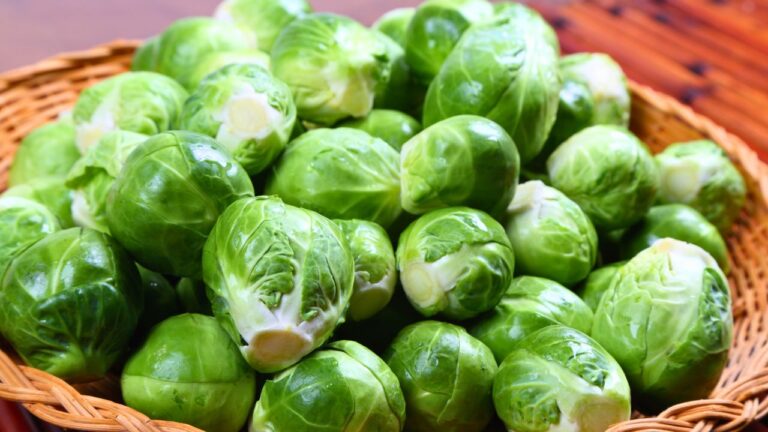 15 Omega-3 Rich Foods You’ll Love Cooking With