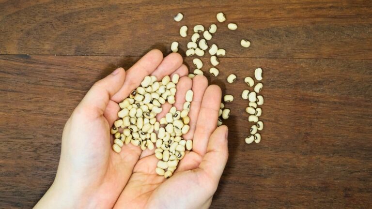 15 Protein-Rich Foods to Add to Your Grocery Cart and Weeknight Menu