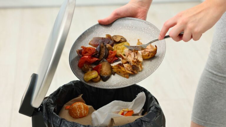 The Waiter Binned My Leftovers I Saved for Tomorrow. My Husband Called Me ‘Unreasonable’ for Not Tipping.