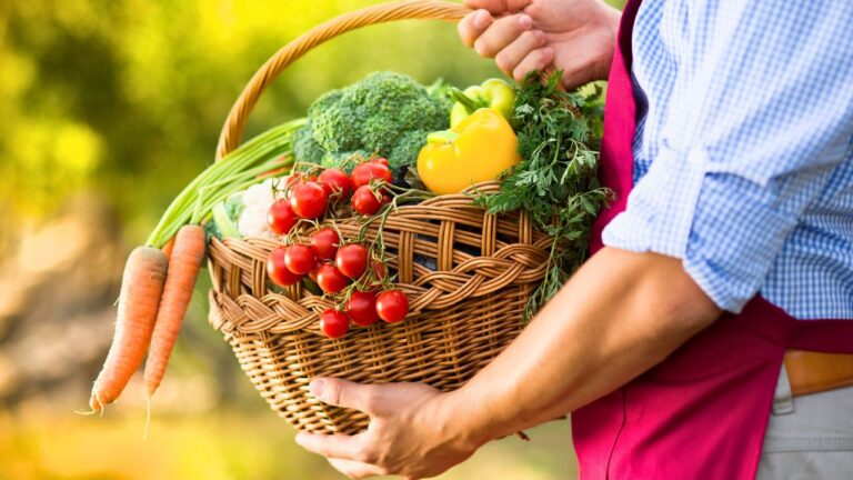 I Accused My Caterer Neighbor of Stealing My Tomatoes Based on Her Instagram. She Slammed the Door in My Face.
