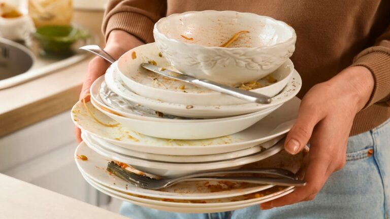 My Sister Wanted To Move Into My Home, But She’s Already Been Kicked Out For Leaving Dirty Bowls Everywhere