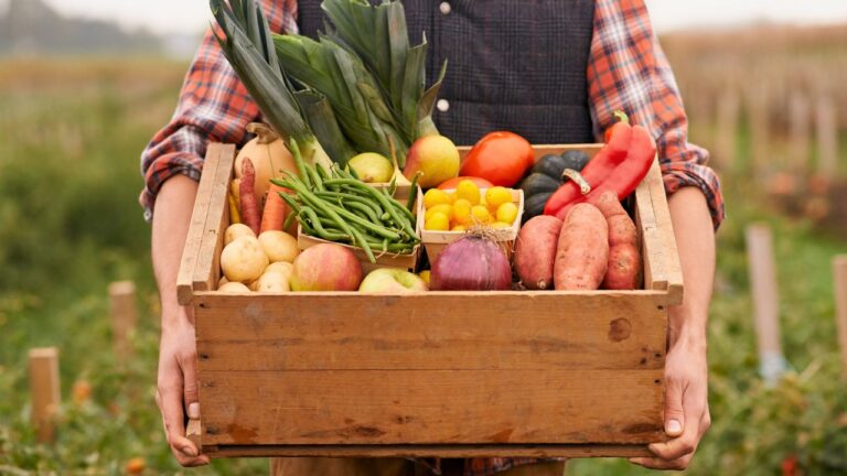 My SIL Demands a Farm-Only Thanksgiving Because ‘Grocery Stores Are Evil.’ She’s Outraged I Asked Her to Bring a Dish.