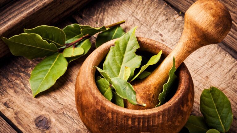 A Potluck Guest Fishes Bay Leaves Out of Finished Stews to Use Again Next Time. Pro Chefs Are Calling it a Kitchen Nightmare.