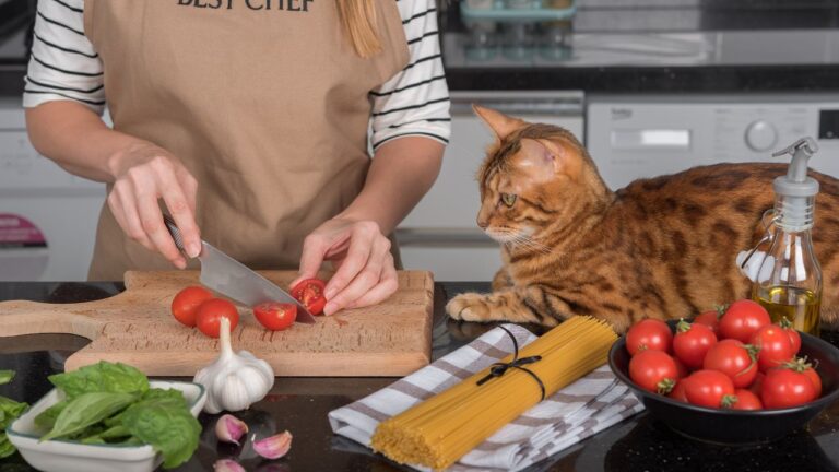 My Girlfriend Cooked Dinner Next to Two Overflowing Cat Litter Boxes. I Lost My Appetite and Now She Says I’m Being ‘Dramatic.’